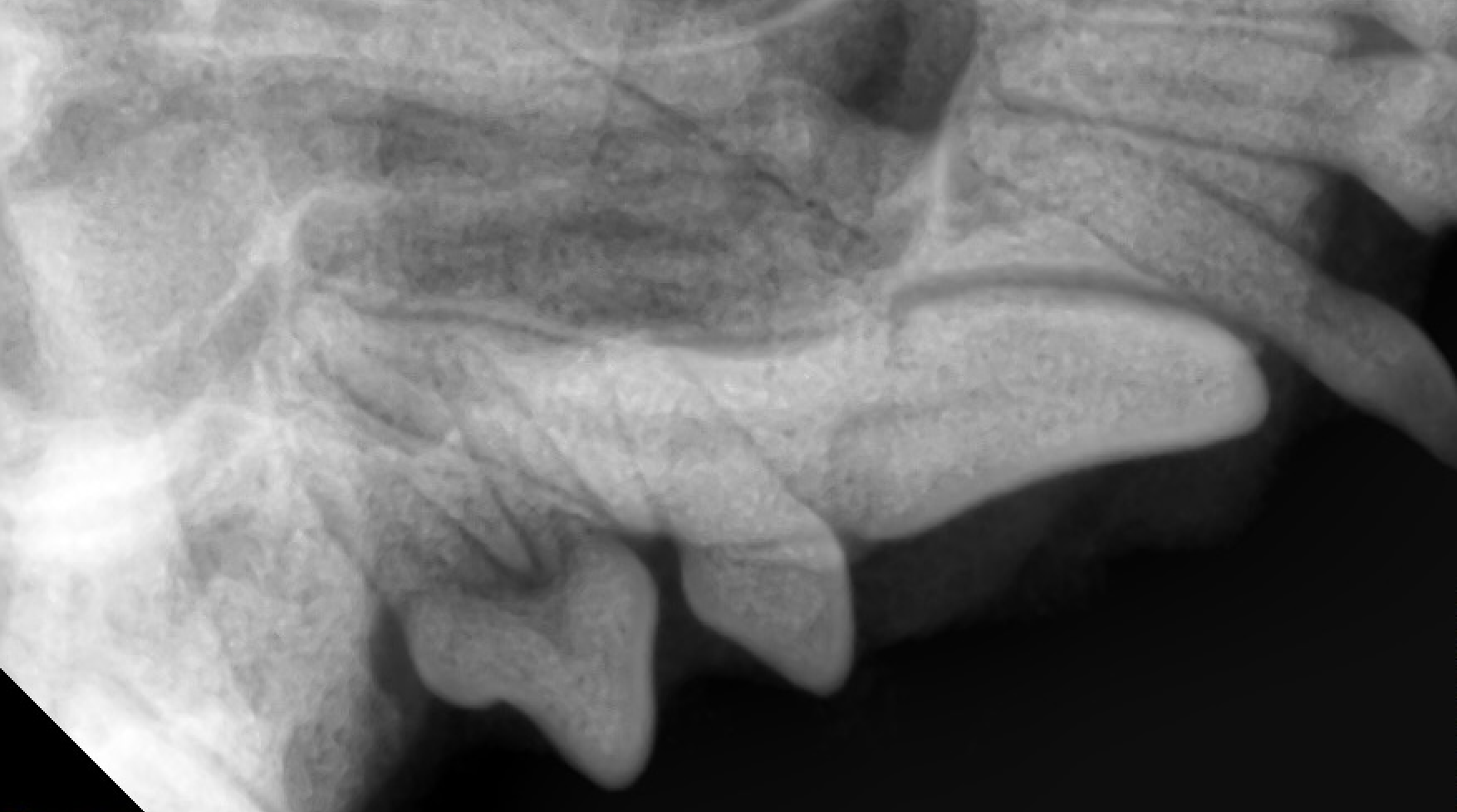 スクリーンショット 2025-12-22 10.47.49