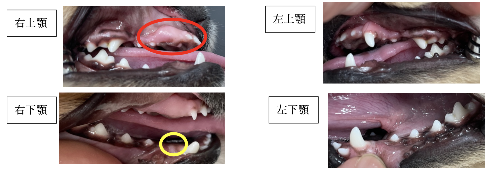 スクリーンショット 2025-12-22 12.20.02