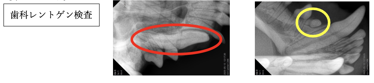 スクリーンショット 2025-12-22 12.24.53