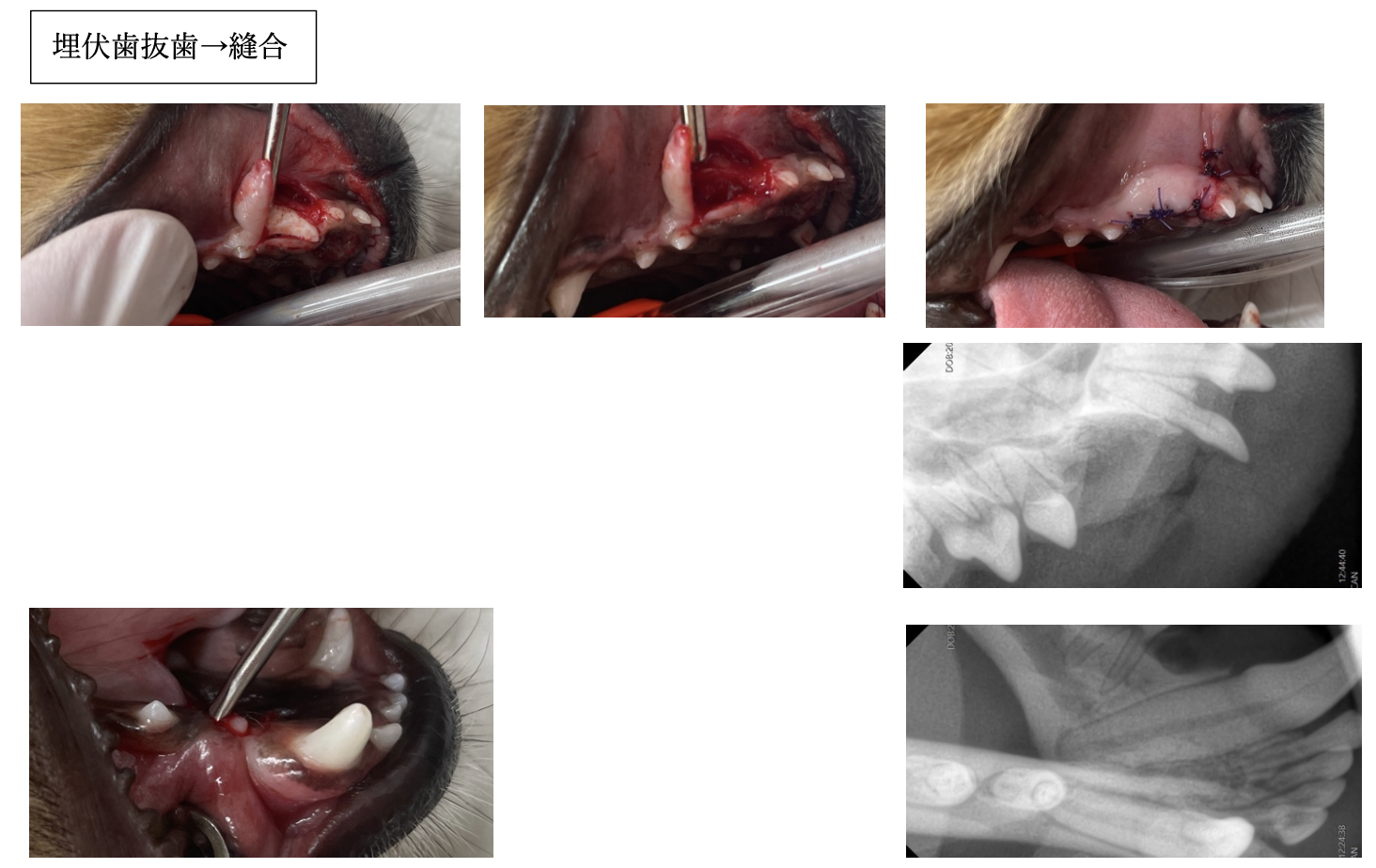 スクリーンショット 2025-12-22 12.25.05