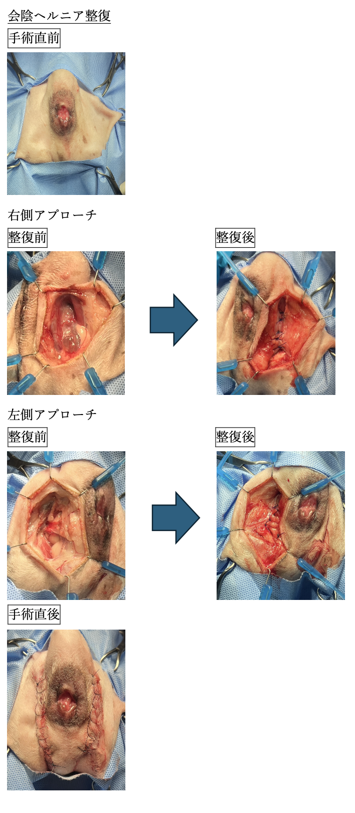 スクリーンショット 2026-02-10 10.48.52