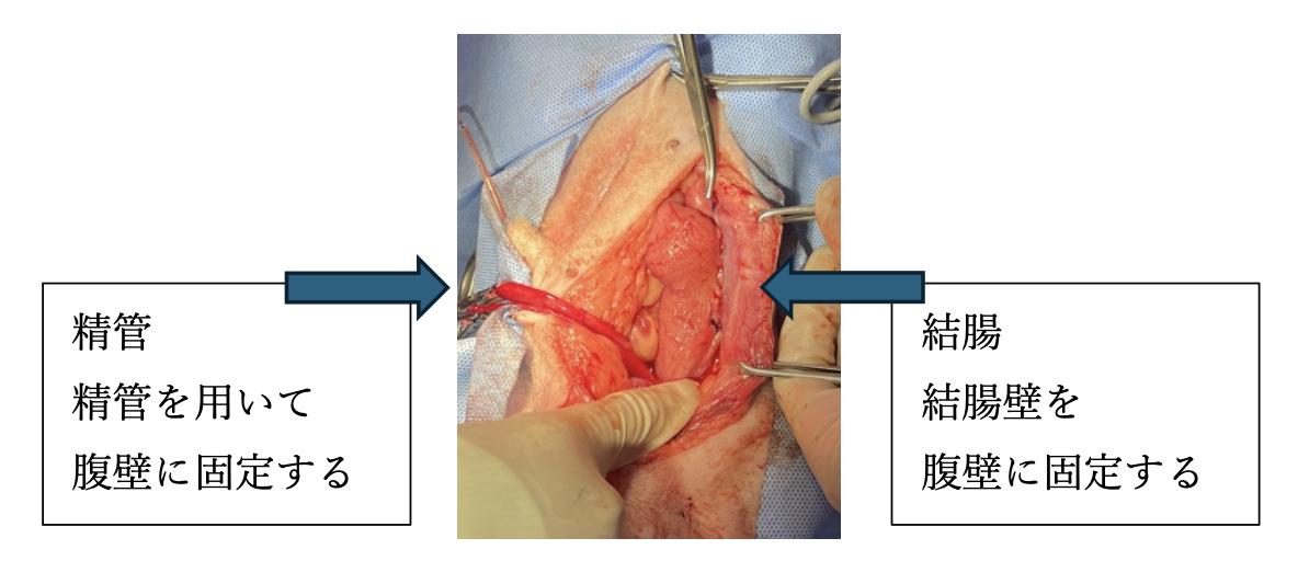 スクリーンショット 2026-02-10 11.31.34