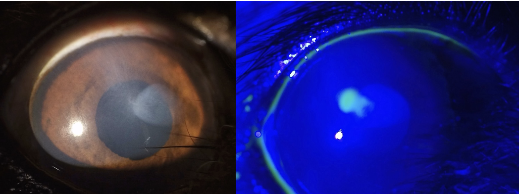 スクリーンショット 2026-03-15 15.56.22