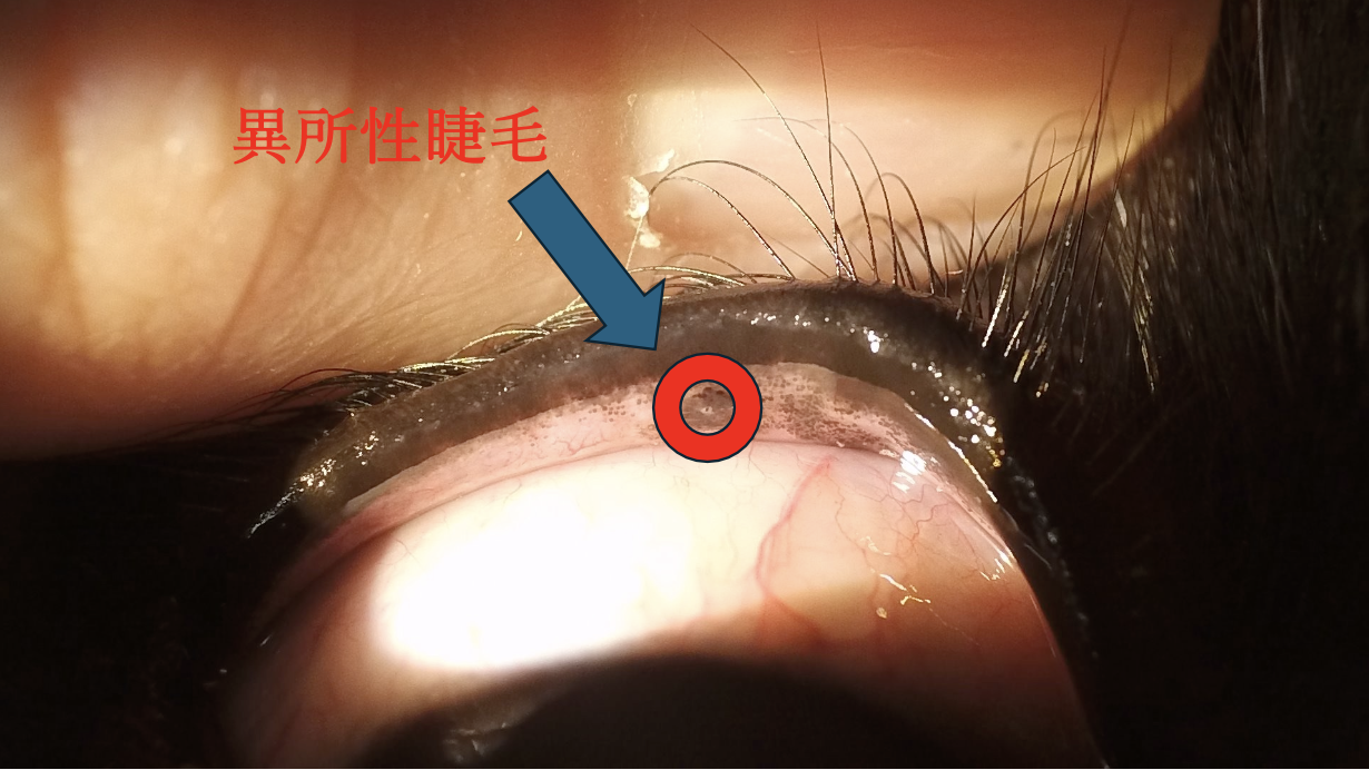 スクリーンショット 2026-03-15 15.59.51