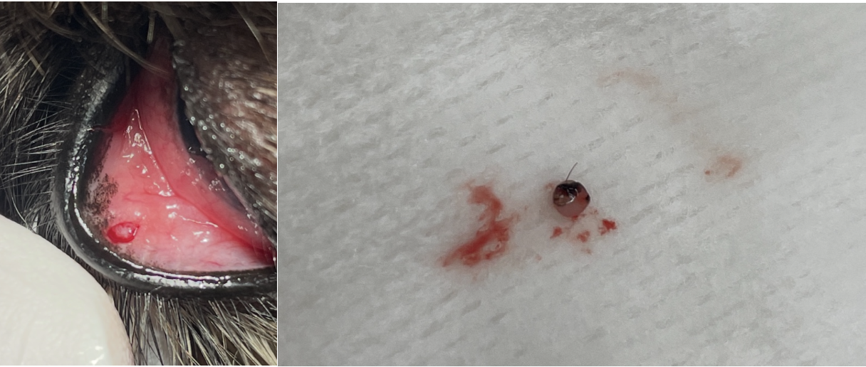 スクリーンショット 2026-03-15 15.59.59