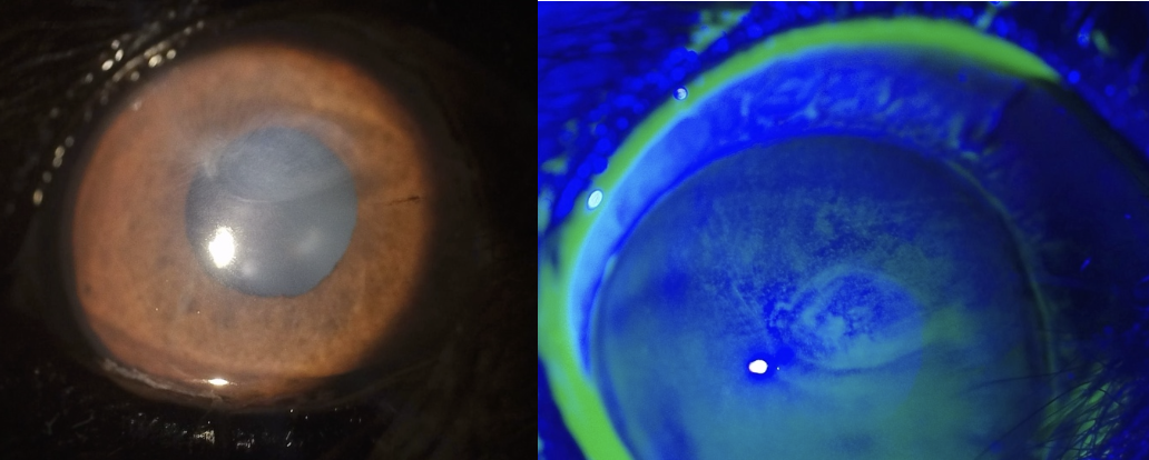 スクリーンショット 2026-03-15 16.00.09